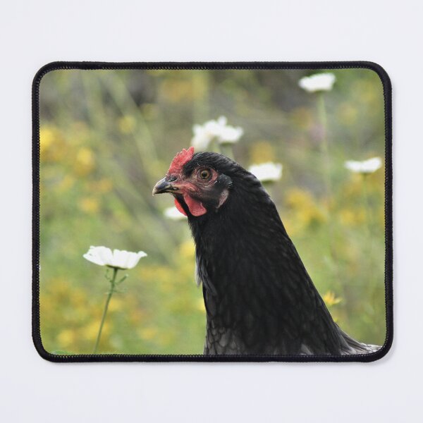 Item preview, Chicken designed and sold by ZombieOverLoad.