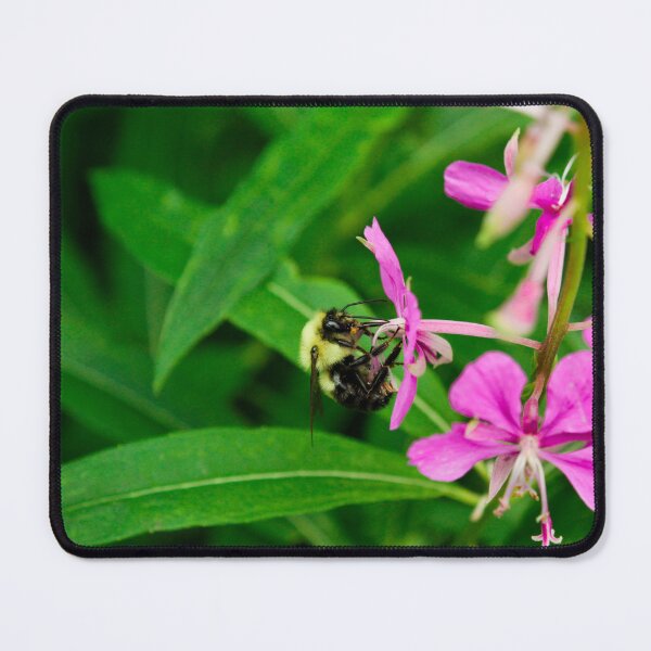 Item preview, bee gathering pollen from a flower designed and sold by Rosemarie  Caron.