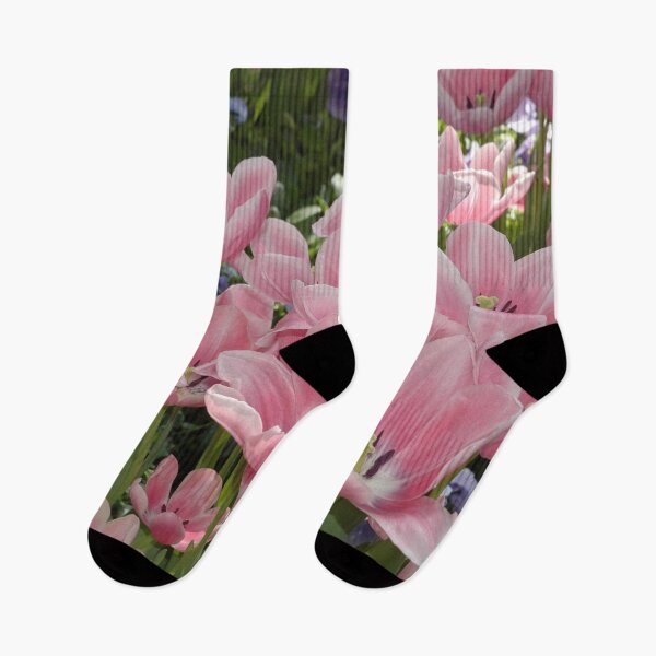 Item preview, Didiers Tulip (Tulipa Gesneriana) Pink Easter Botanical Flowers Garden designed and sold by VistaViews.