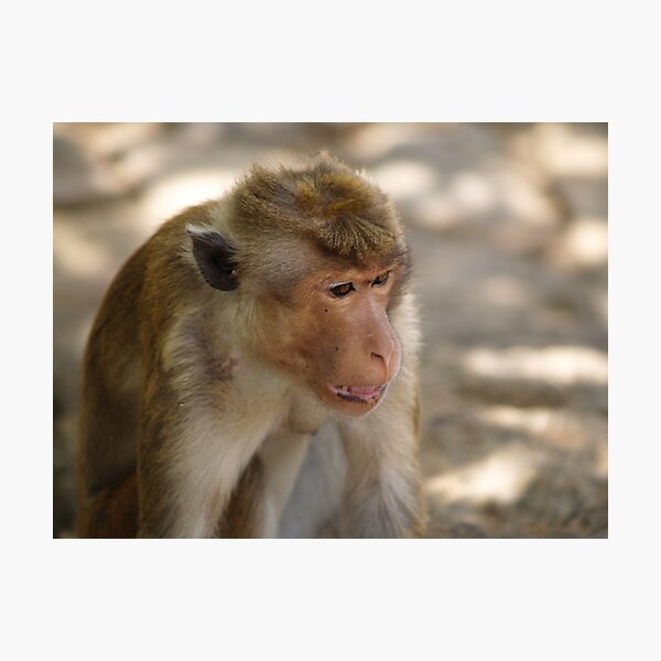 Item preview, The Me Monkey designed and sold by Jonathan Dower.