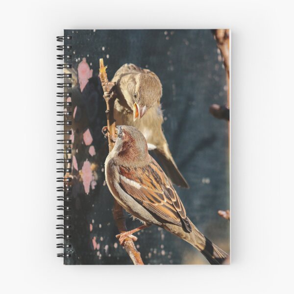 Item preview, Squabbling sparrows designed and sold by GreyFeatherPhot.