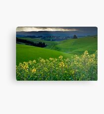 Catlins Farm Metal Print