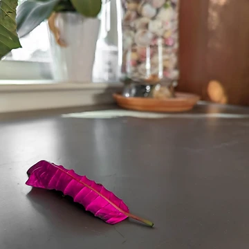 Artwork thumbnail, Pink leaf by TerryJonesIs5-8