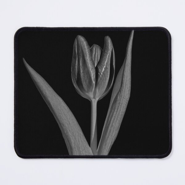 Item preview, Single tulip on black designed and sold by KRFNatureGifts.