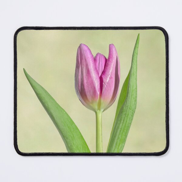 Item preview, Purple tulip art designed and sold by KRFNatureGifts.