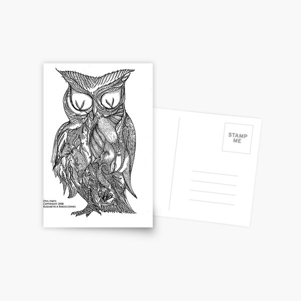 Owl and ingredients Postcard