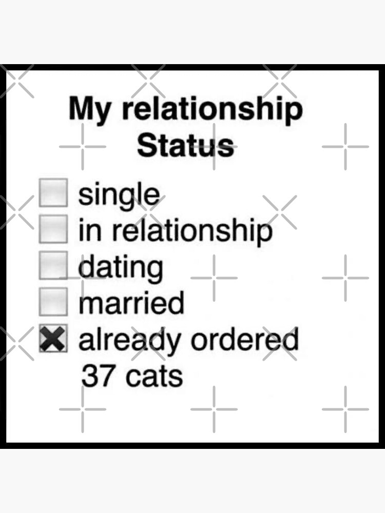 "My Relationship Status Funny Cat Meme " Sticker for Sale by