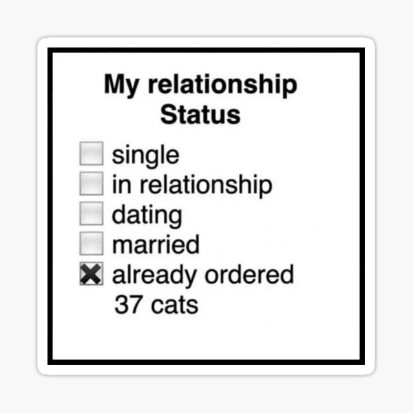 "My Relationship Status Funny Cat Meme " Sticker for Sale by