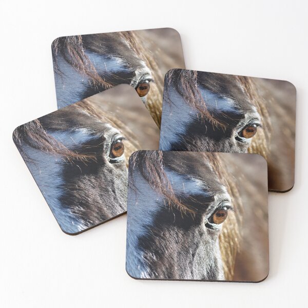 Item preview, Horse designed and sold by ZombieOverLoad.