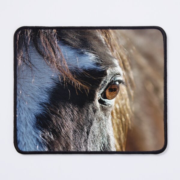 Item preview, Horse designed and sold by ZombieOverLoad.