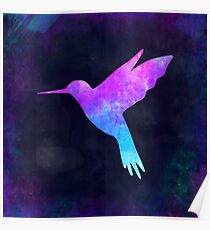 HUMMINGBIRD IN SPACE! Poster