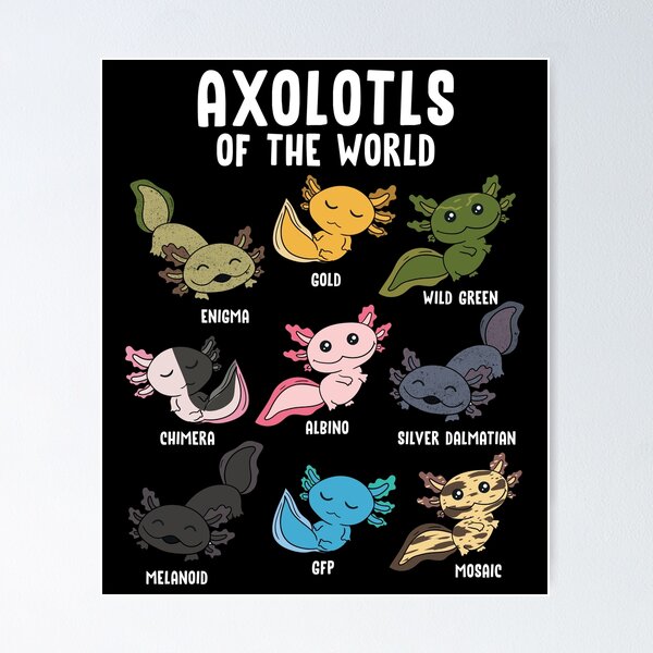 Item preview, Axolotls Of The World Kawaii Types Of Axolotl Fish Amphibian designed and sold by MEN AND WOMEN LIVING HEALTHY.
