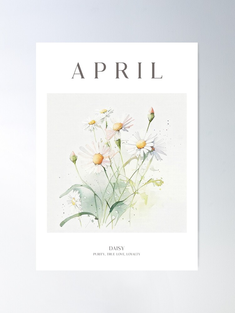 Daisy April Birth Month Flower Botanical Print on Black - Art by