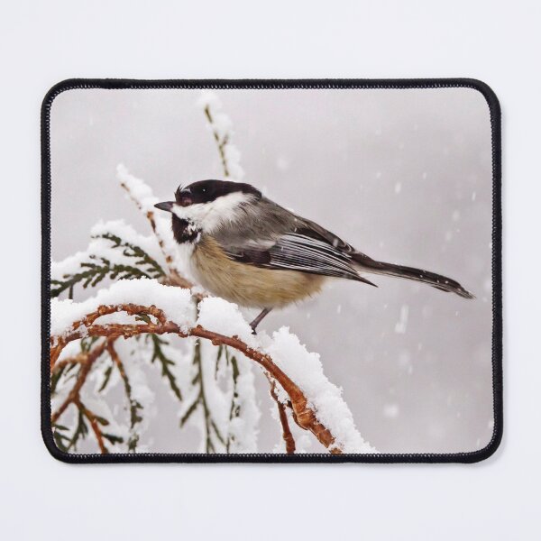 Item preview, Chickadee in the snow designed and sold by KRFNatureGifts.