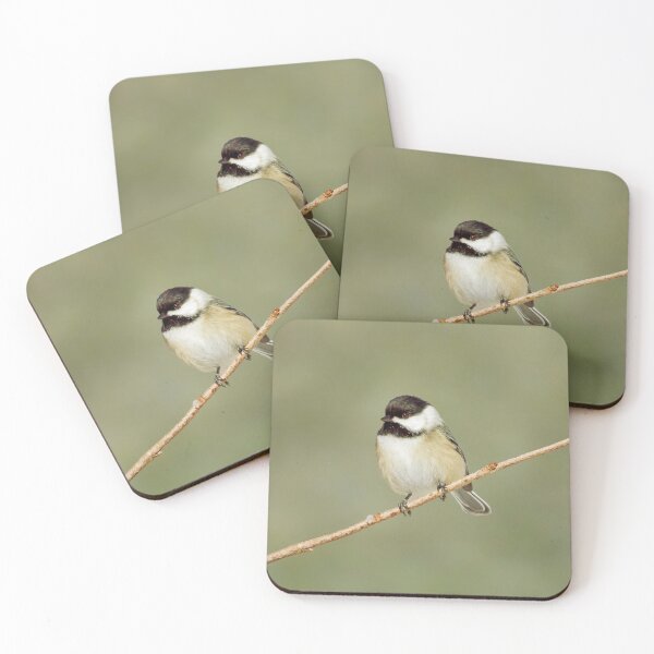 Item preview, Chickadee bird photography designed and sold by KRFNatureGifts.