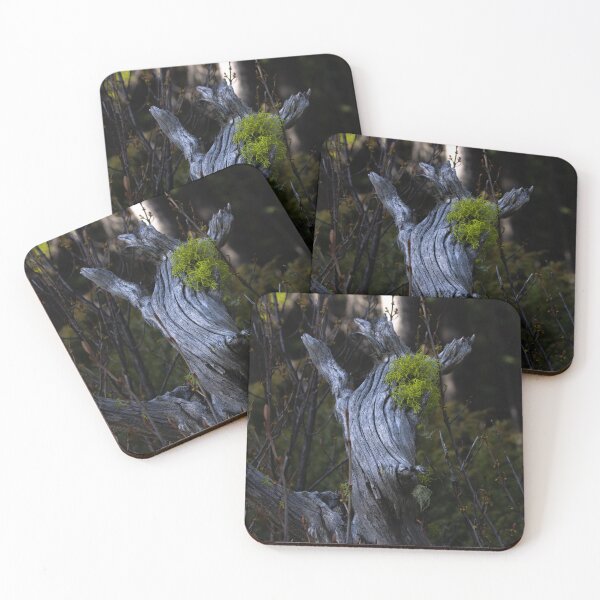 Item preview, Mossy log designed and sold by sammessmerphoto.