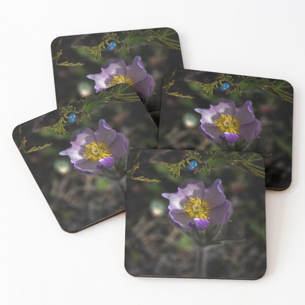 Item preview, Juniper & Pasqueflower designed and sold by sammessmerphoto.