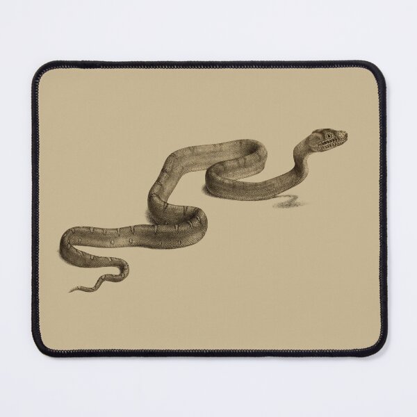Item preview, Amazon Basin Emerald Tree Boa (Corallus batesii) - on Beige designed and sold by boltjesdesign.