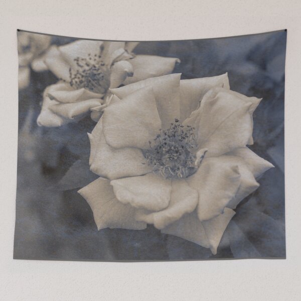 Item preview, Old Roses designed and sold by DVJPhotography.
