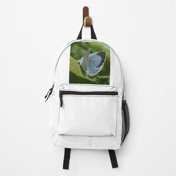 Item preview, Holly blue designed and sold by Its-a-wild-life.