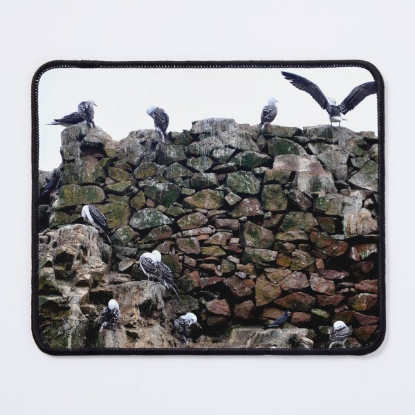 Item preview, Peru - Paracas - The Ballestas Islands, Birds designed and sold by franck380.