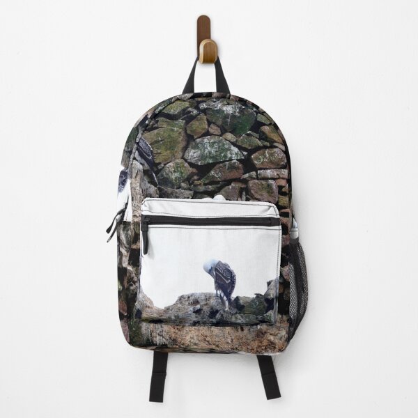 Item preview, Peru - Paracas - The Ballestas Islands, Birds designed and sold by franck380.