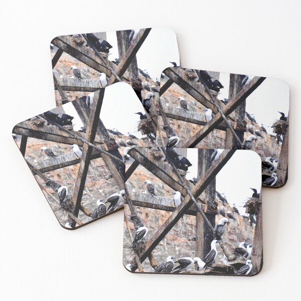Item preview, Peru - Paracas - The Ballestas Islands designed and sold by franck380.
