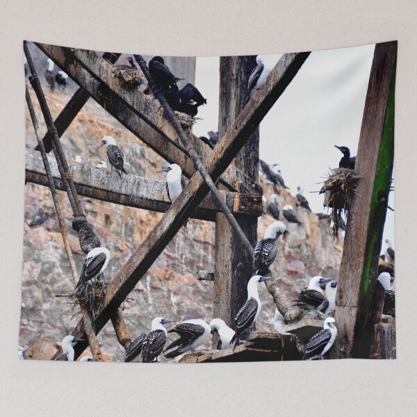 Item preview, Peru - Paracas - The Ballestas Islands designed and sold by franck380.
