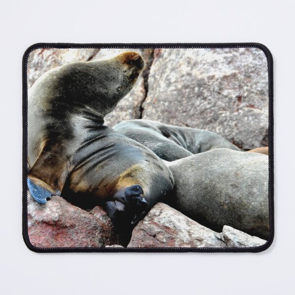 Item preview, Peru - Paracas - The Ballestas Islands designed and sold by franck380.