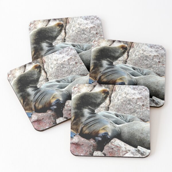 Item preview, Peru - Paracas - The Ballestas Islands designed and sold by franck380.