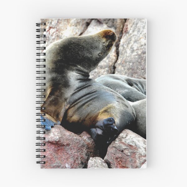 Item preview, Peru - Paracas - The Ballestas Islands designed and sold by franck380.