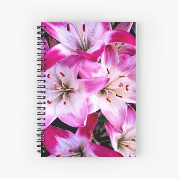 Item preview, Lollypop Lilies designed and sold by bjtomiko.