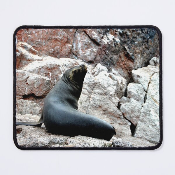 Item preview, Peru - Paracas - The Ballestas Islands designed and sold by franck380.