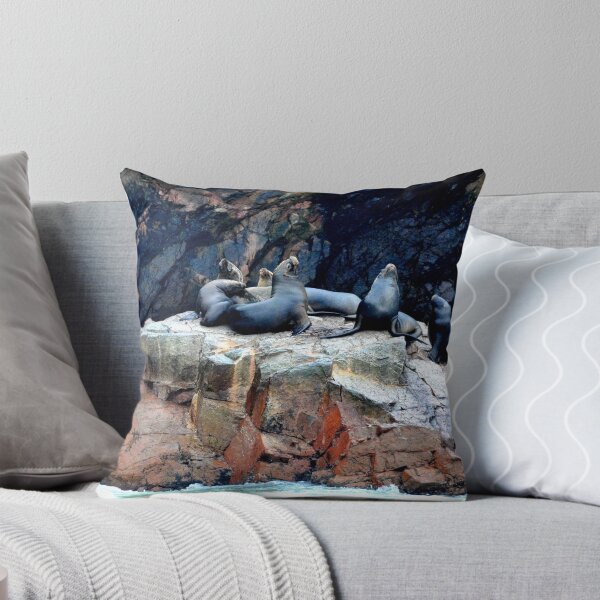 Item preview, Peru - Paracas - The Ballestas Islands designed and sold by franck380.