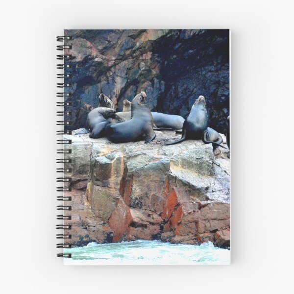 Item preview, Peru - Paracas - The Ballestas Islands designed and sold by franck380.