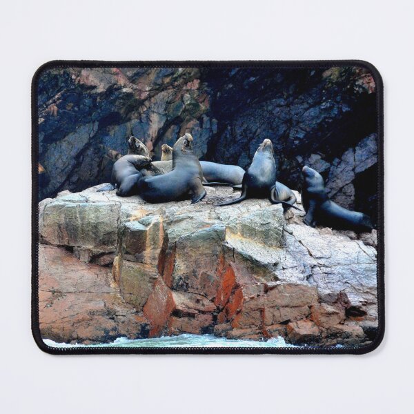Item preview, Peru - Paracas - The Ballestas Islands designed and sold by franck380.