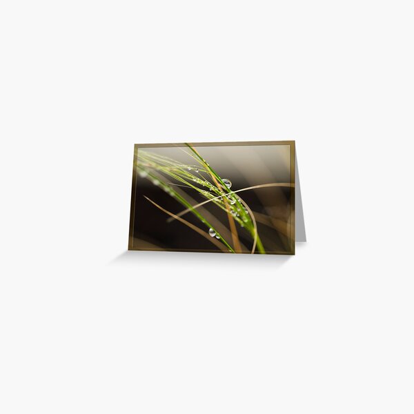 after the rain.. Greeting Card