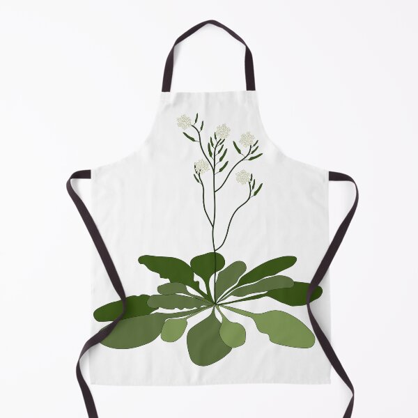 Item preview, Arabidopsis - STEM - Experiment - Floral Illustration designed and sold by ChloeeChaos.