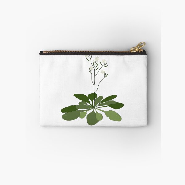 Item preview, Arabidopsis - STEM - Experiment - Floral Illustration  designed and sold by ChloeeChaos.