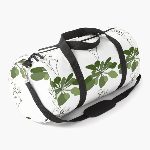Item preview, Arabidopsis - STEM - Experiment - Floral Illustration  designed and sold by ChloeeChaos.