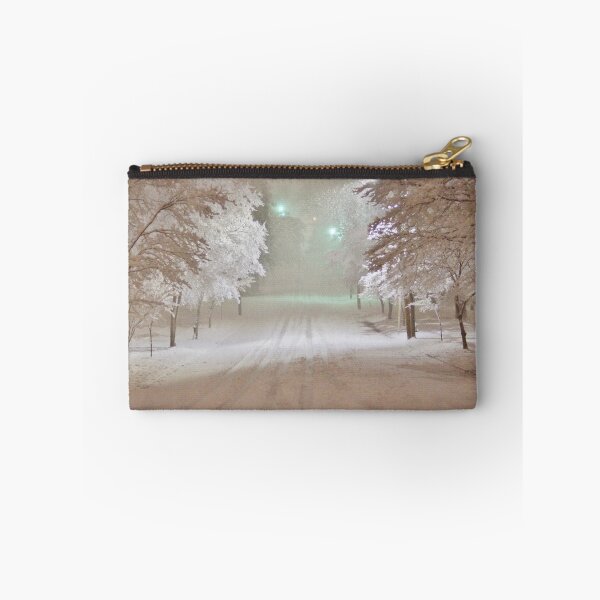Item preview, Winter Wonderland in Winston-Salem North Carolina 2-26-2015 designed and sold by paulboggs.