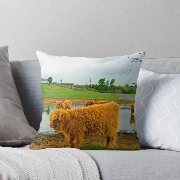 Item preview, Hielan Coo Fold designed and sold by tomg.