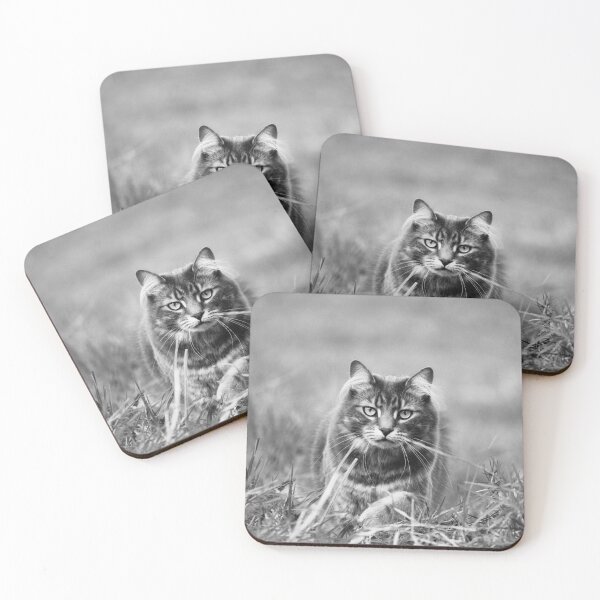 Item preview, Black & White Charlie designed and sold by SeeThinkCreate.