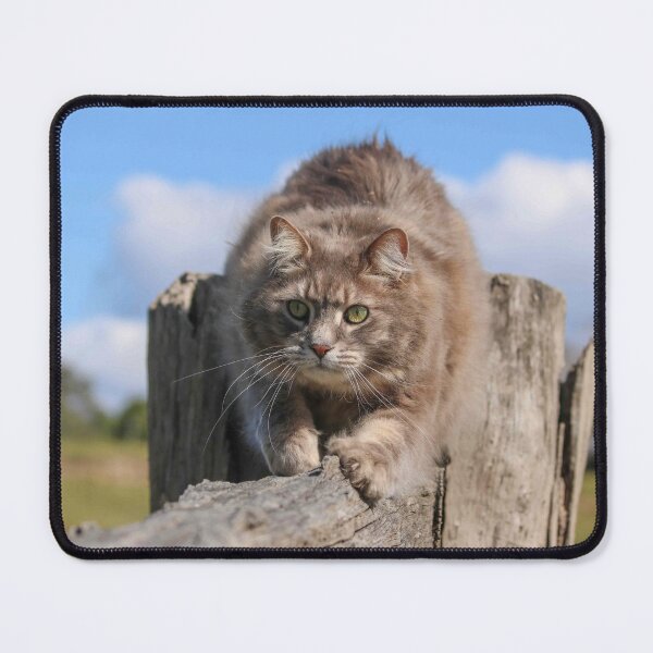 Item preview, Scratching Post designed and sold by SeeThinkCreate.