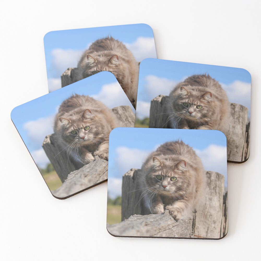 Item preview, Coasters (Set of 4) designed and sold by SeeThinkCreate.