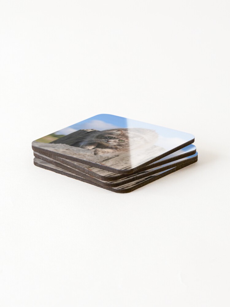 Thumbnail 4 of 5, Coasters (Set of 4), Scratching Post designed and sold by SeeThinkCreate.