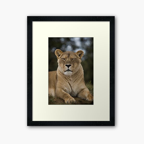 Trust me, I won’t bite...much Framed Art Print