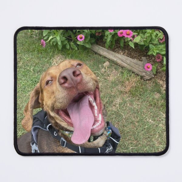 Item preview, Katie's Doggo Goose, He's the Bestest Boy designed and sold by RKA-Products.