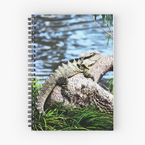 Artikelvorschau, Herr Wasserdrache entworfen und verkauft von PrettyKitty.