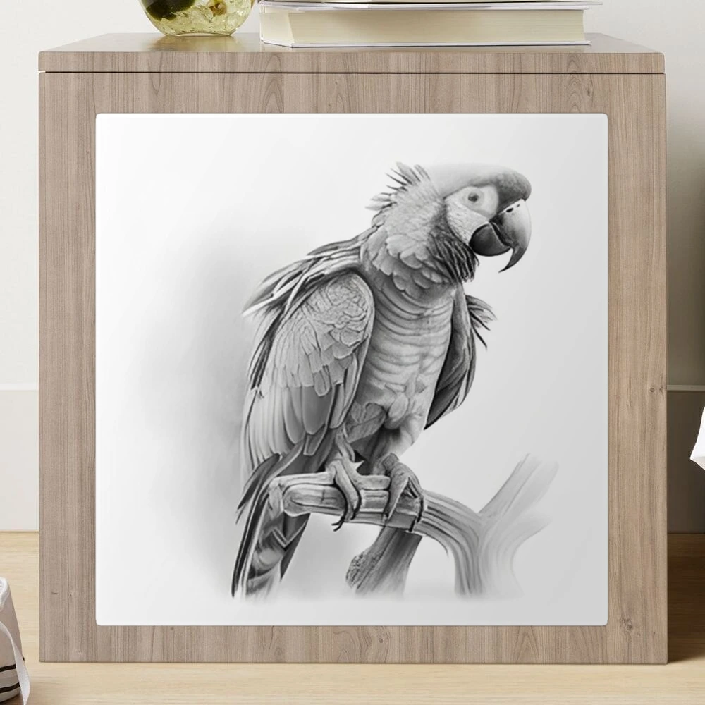 Easy How to Draw a Parrot Tutorial Video and Parrot Coloring Page